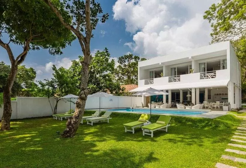 Fotos del hotel Taru Villas  Tangalle Social:  23