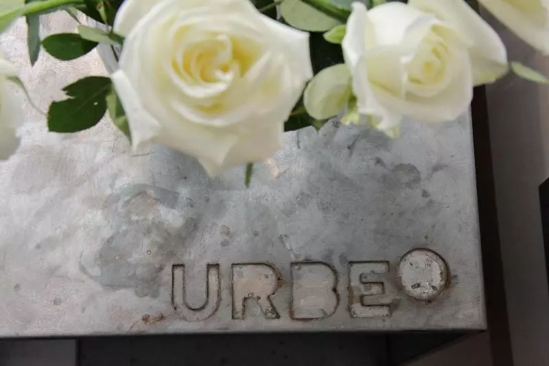 Fotos del hotel Guest House Urbana:  12