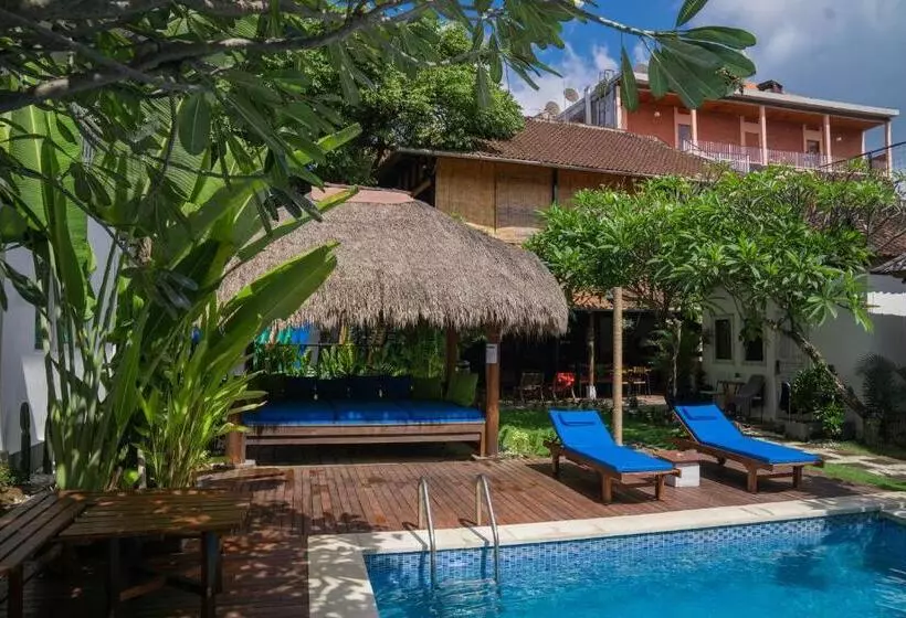 Fotos del hotel Easy Surf Camp:  7