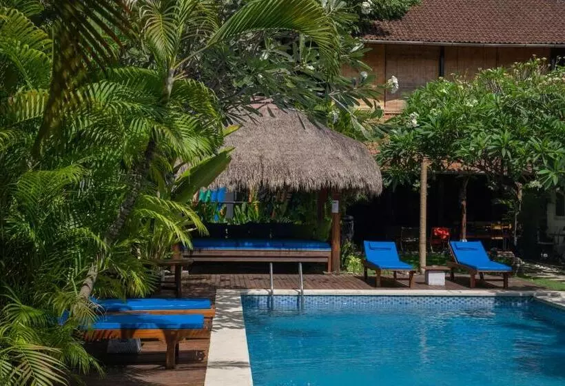 Fotos del hotel Easy Surf Camp:  4