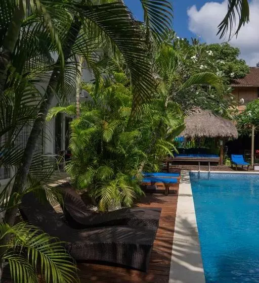 Fotos del hotel Easy Surf Camp:  11
