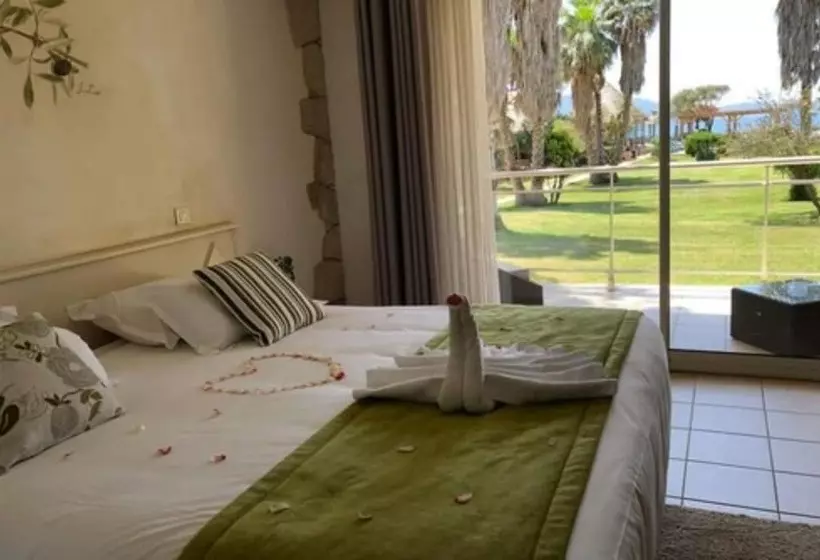 Fotos del hotel Hôtel Ruesco:  12