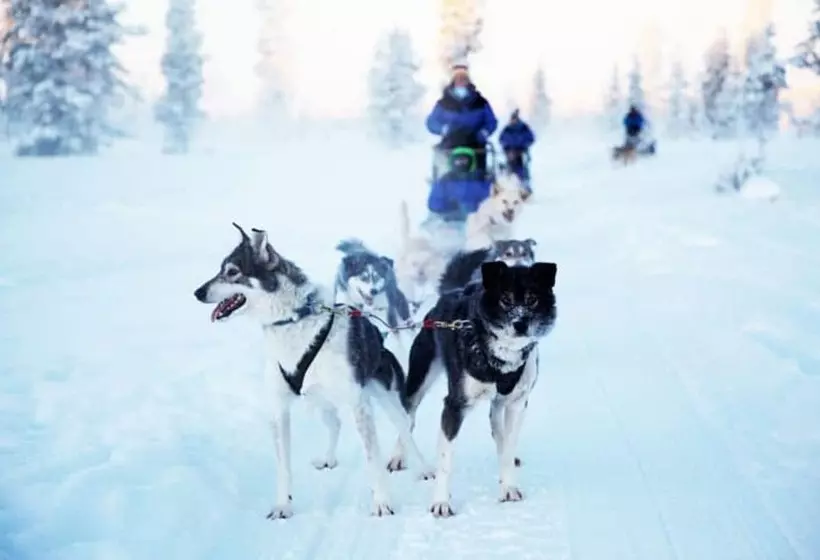 Fotos del hotel Saariselkä Inn Majatalo Panimo:  8