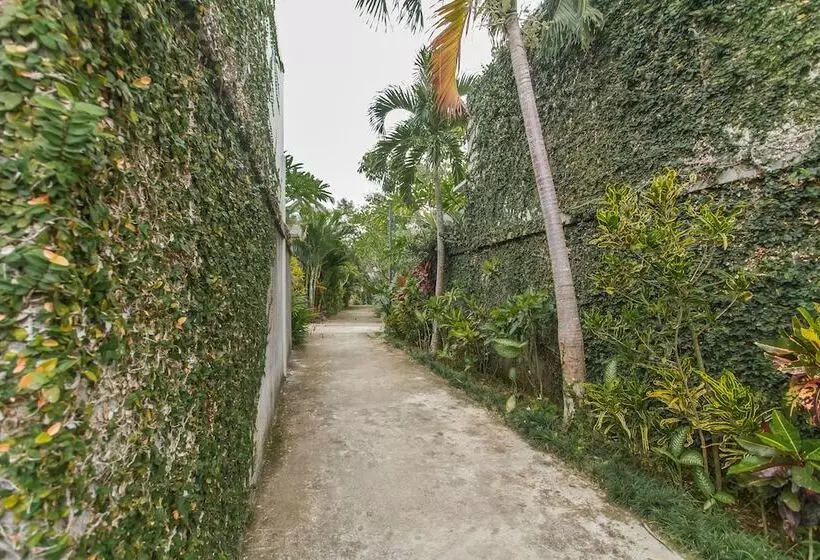 Fotos del hotel Canikaya Villas Ubud:  14