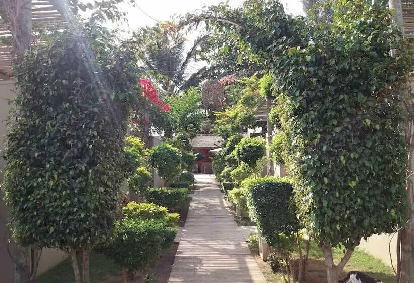 Fotos del hotel Liv Inn Guest House:  21