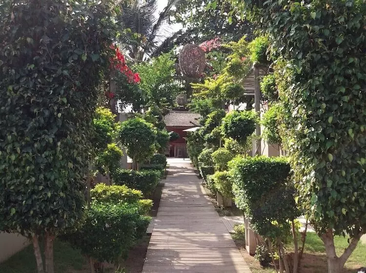 Fotos del hotel Liv Inn Guest House:  15