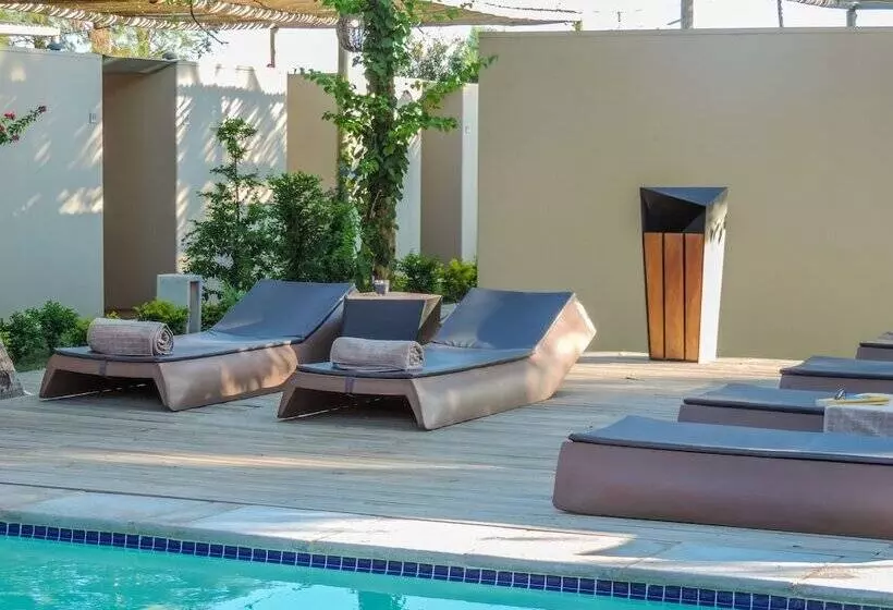 Fotos del hotel Liv Inn Guest House:  19