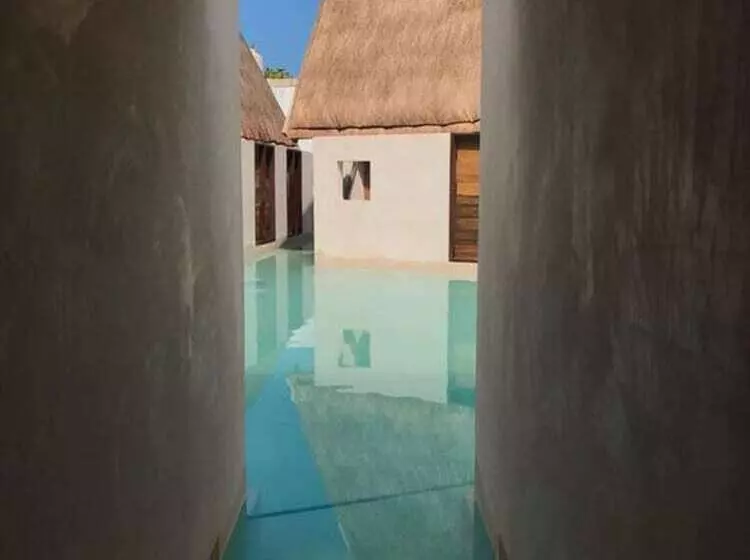 Fotos del hotel Punta Caliza:  3