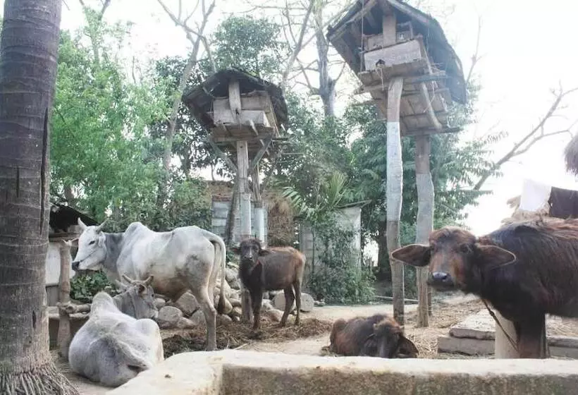 Fotos del hotel Tharu 20for7 Holiday House:  4