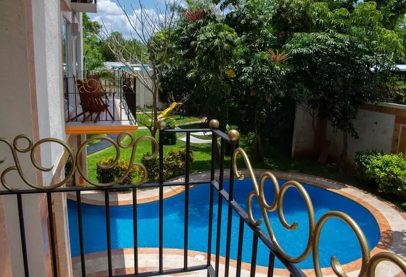Fotos del hotel Palacio Maya:  2