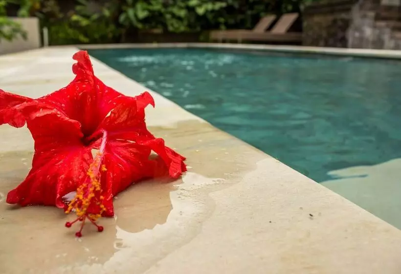Fotos del hotel Bisma Jaya Bungalow:  10