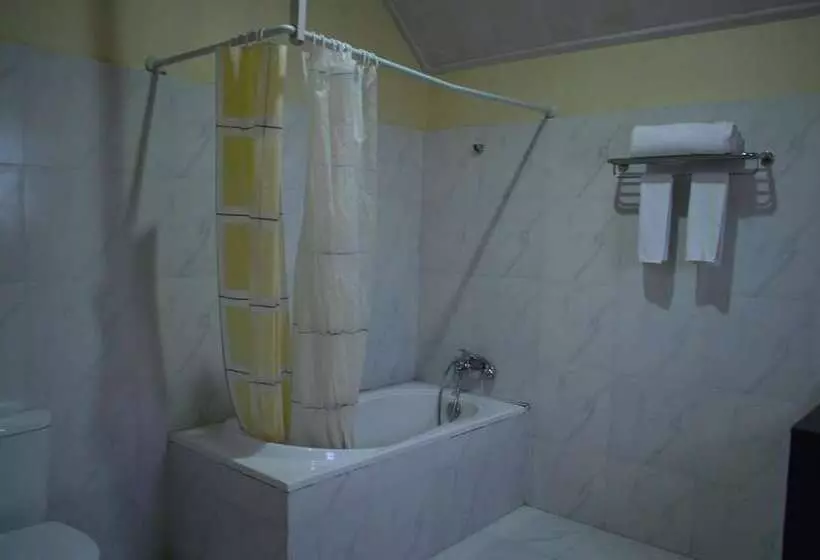 Fotos del hotel Tenzinling Resort:  13