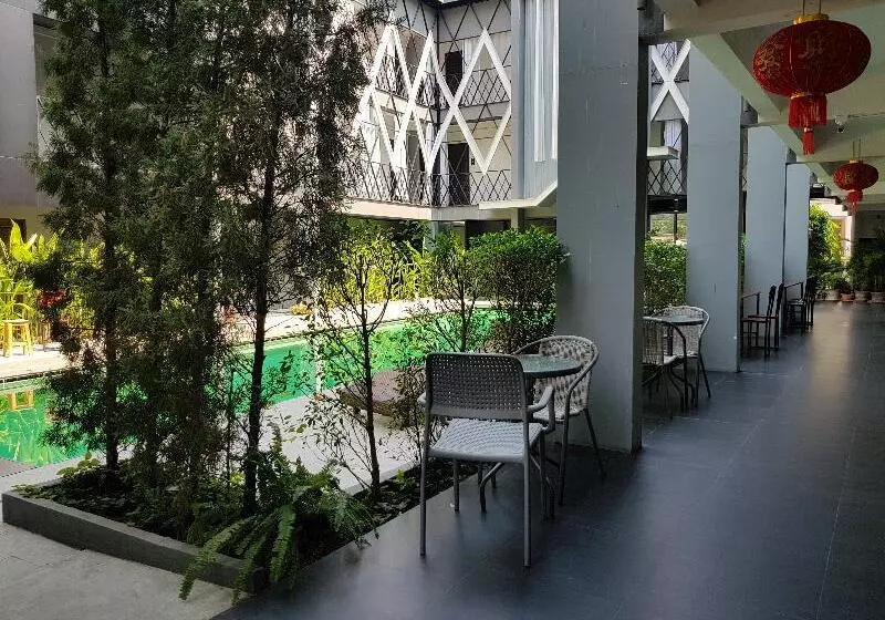 Fotos del hotel Shane:  12
