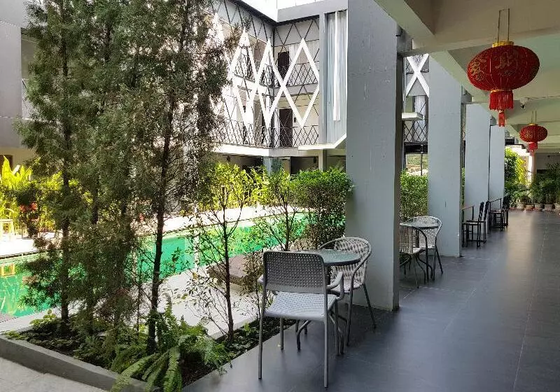 Fotos del hotel Shane:  10
