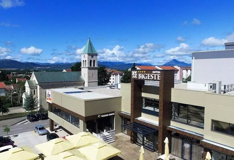 Fotos del hotel Bigeste:  7