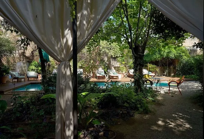 Fotos del hotel Can Bordoy Grand House & Garden:  24