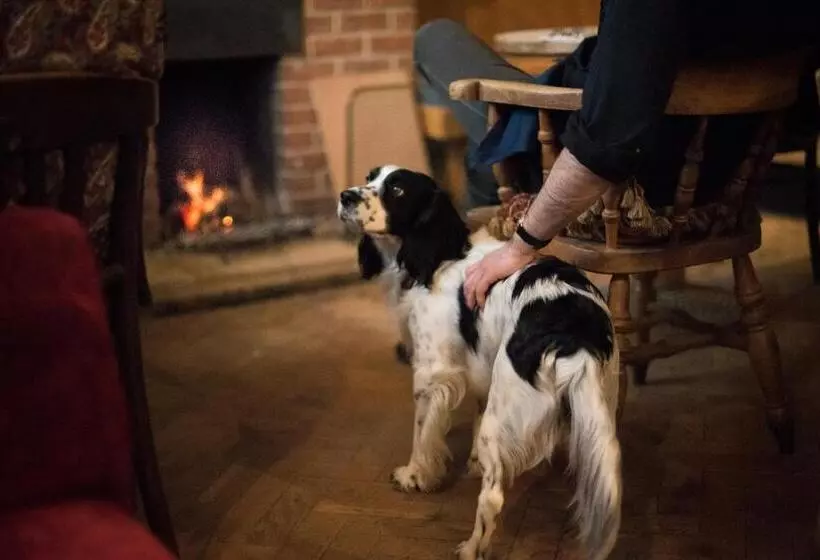 Fotos del hotel Helen Browning's Royal Oak:  14