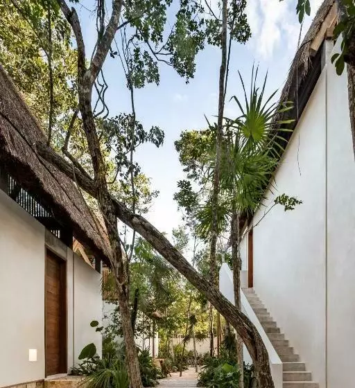 Fotos del hotel Jungle Keva Tulum:  3