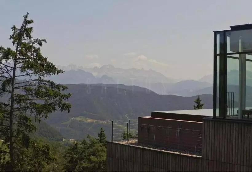 Fotos del hotel Saltus:  8